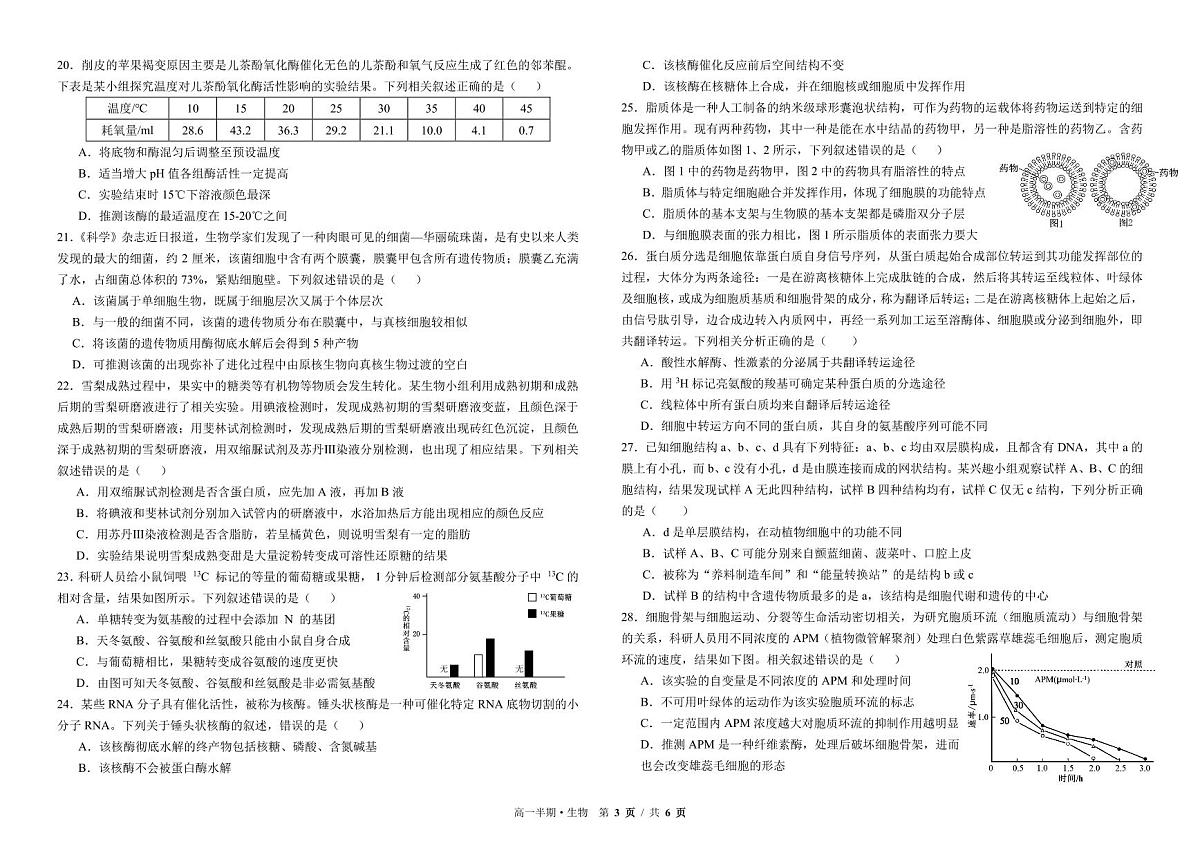 四川省成都市树德中学2025-2026学年高一上学期期中考试生物试卷第3页