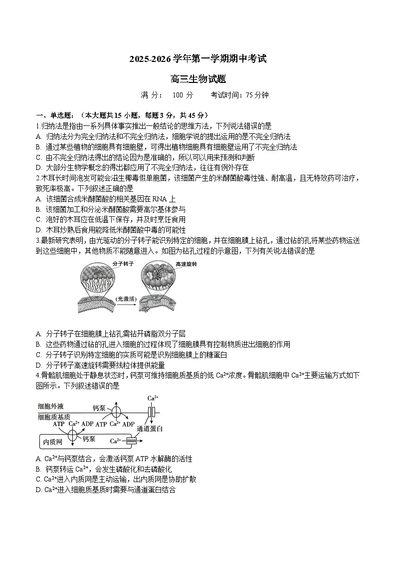 安徽省淮北市重点高中2026届高三上学期期中考试 生物试卷（含答案）第1页
