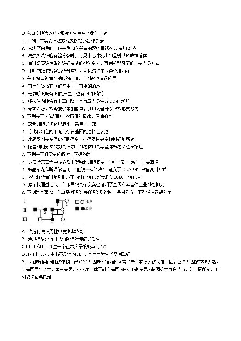 江苏省扬州市2026届高三上学期期中检测 生物试卷（含答案）第2页