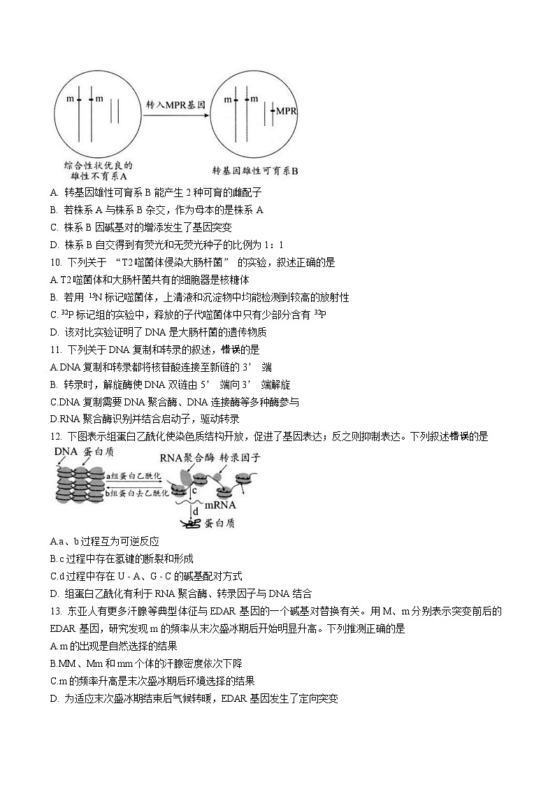 江苏省扬州市2026届高三上学期期中检测 生物试卷（含答案）第3页