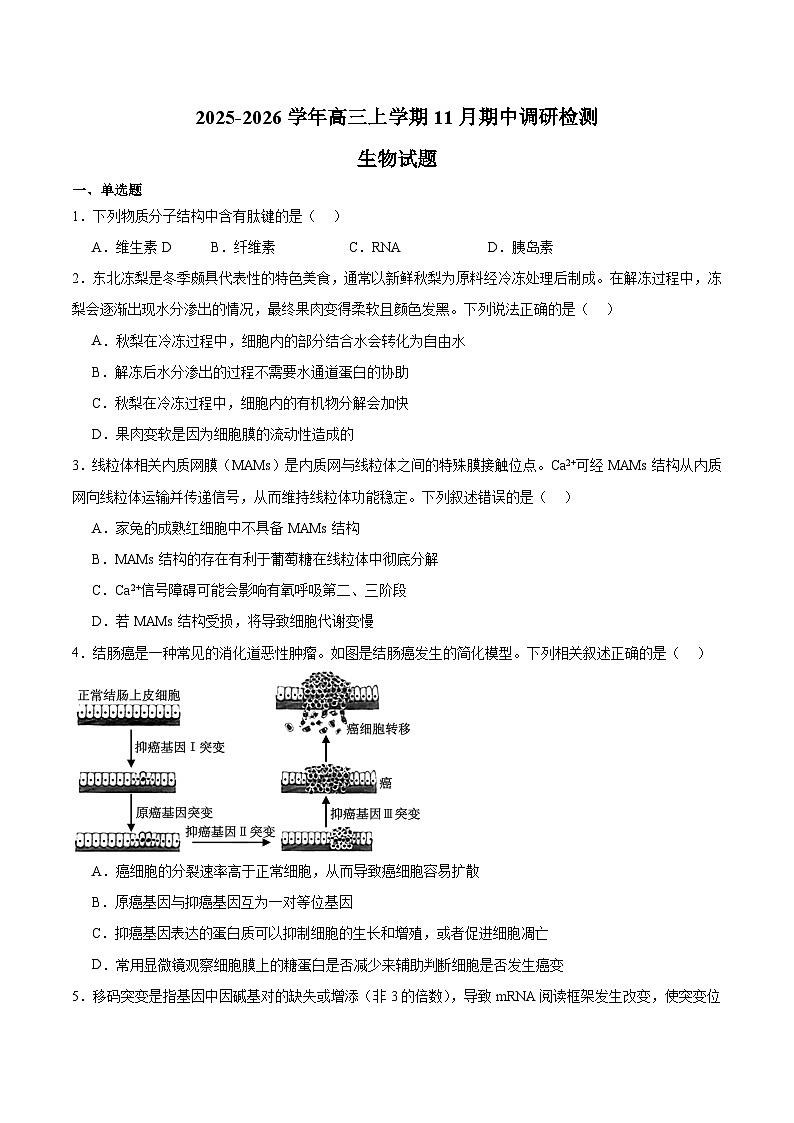河北省部分重点高中2026届高三上学期11月期中调研检测 生物试卷（含答案）第1页