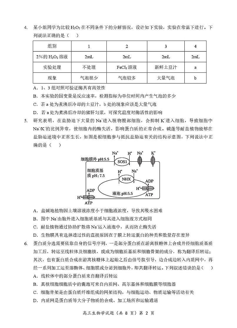 湖北省鄂北六校2026届高三上学期期中考试 生物试卷（PDF图片版）（含答案）第2页