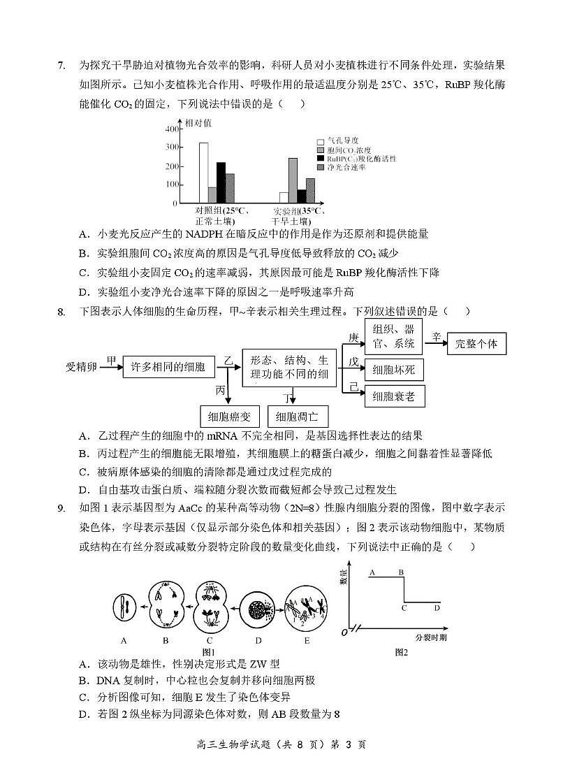 湖北省鄂北六校2026届高三上学期期中考试 生物试卷（PDF图片版）（含答案）第3页