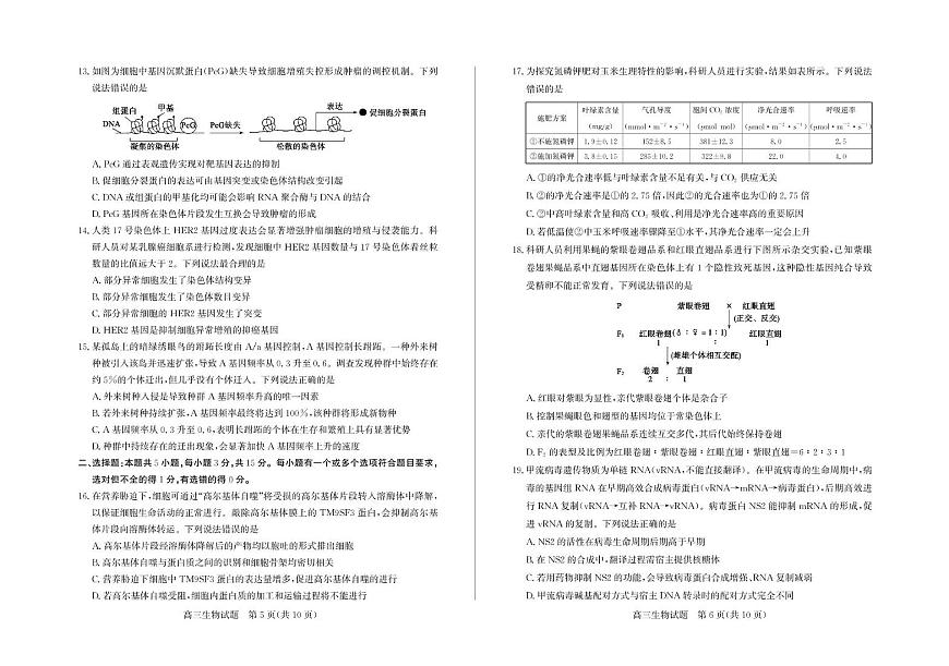 山东省德州市2026届高三上学期11月期中考试 生物试卷（PDF图片版）（含答案）第3页
