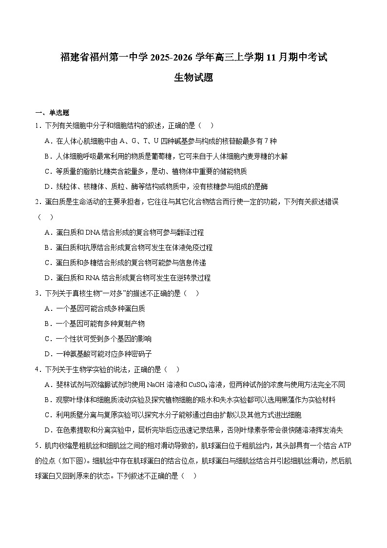 福建省福州第一中学2026届高三上学期11月期中考试 生物试卷（含答案）第1页