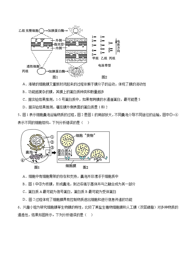 重庆市普通高中2026届高三上学期11月调研测试 生物试卷（含答案）第2页