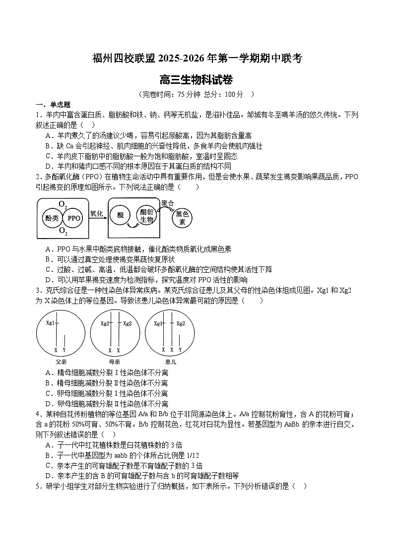 福建省福州市四校联盟2026届高三上学期期中联考 生物试卷（含答案）第1页