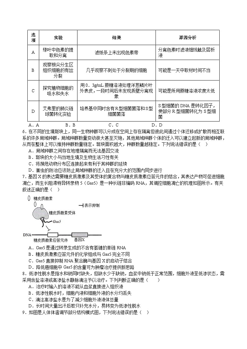 福建省福州市四校联盟2026届高三上学期期中联考 生物试卷（含答案）第2页