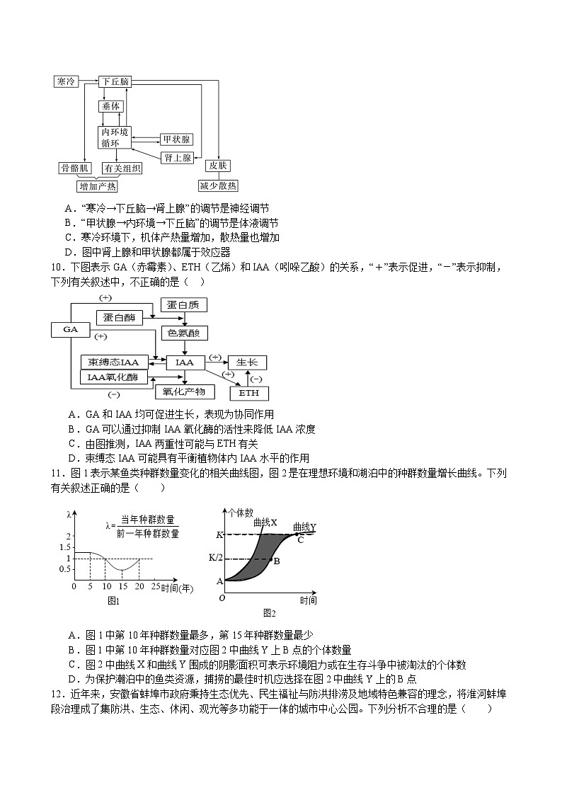 福建省福州市四校联盟2026届高三上学期期中联考 生物试卷（含答案）第3页