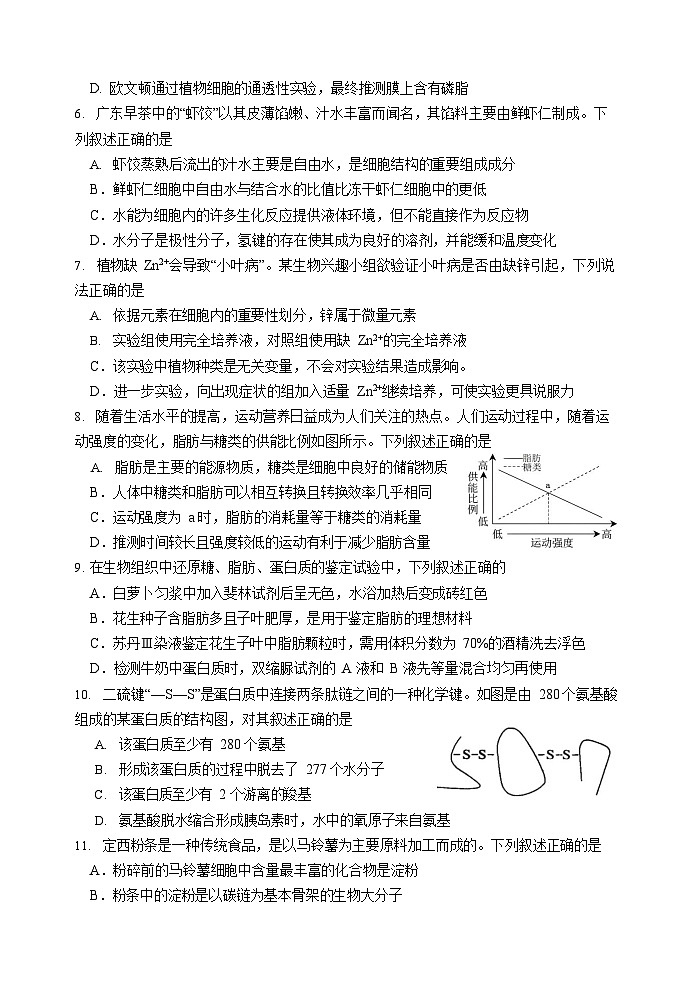 广东省汕头市金山中学2025-2026学年高一上学期期中考试生物试卷第2页