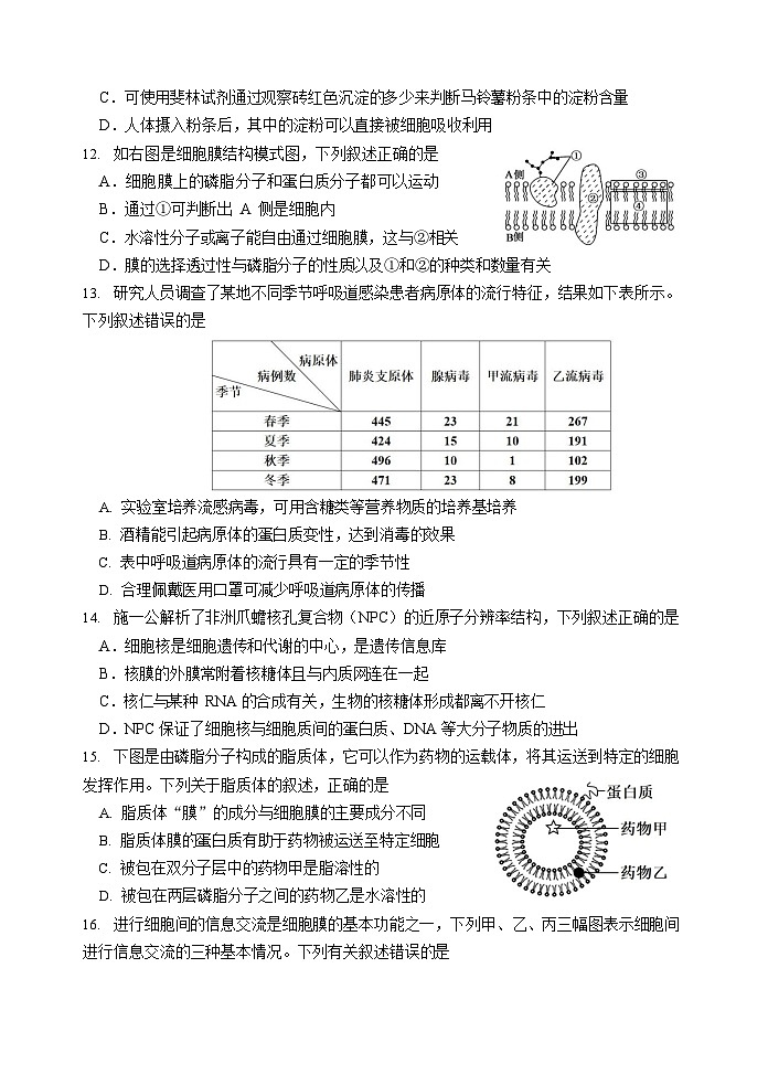 广东省汕头市金山中学2025-2026学年高一上学期期中考试生物试卷第3页