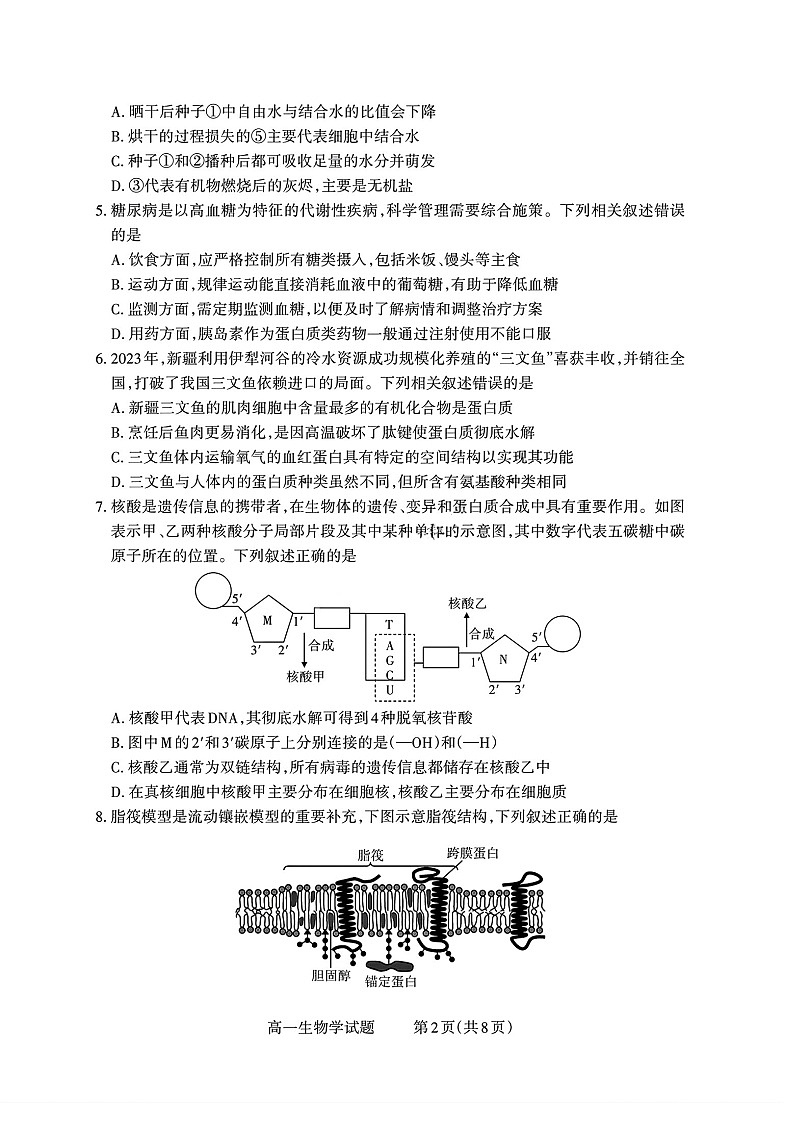 山西省部分学校2025-2026学年高一上学期高一选科调研检测暨12月月考生物试题第2页
