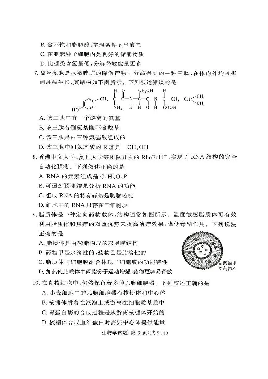 湘豫名校联考2025-2026学年高一(上)12月阶段性质量检测生物学试卷（含答案）第3页