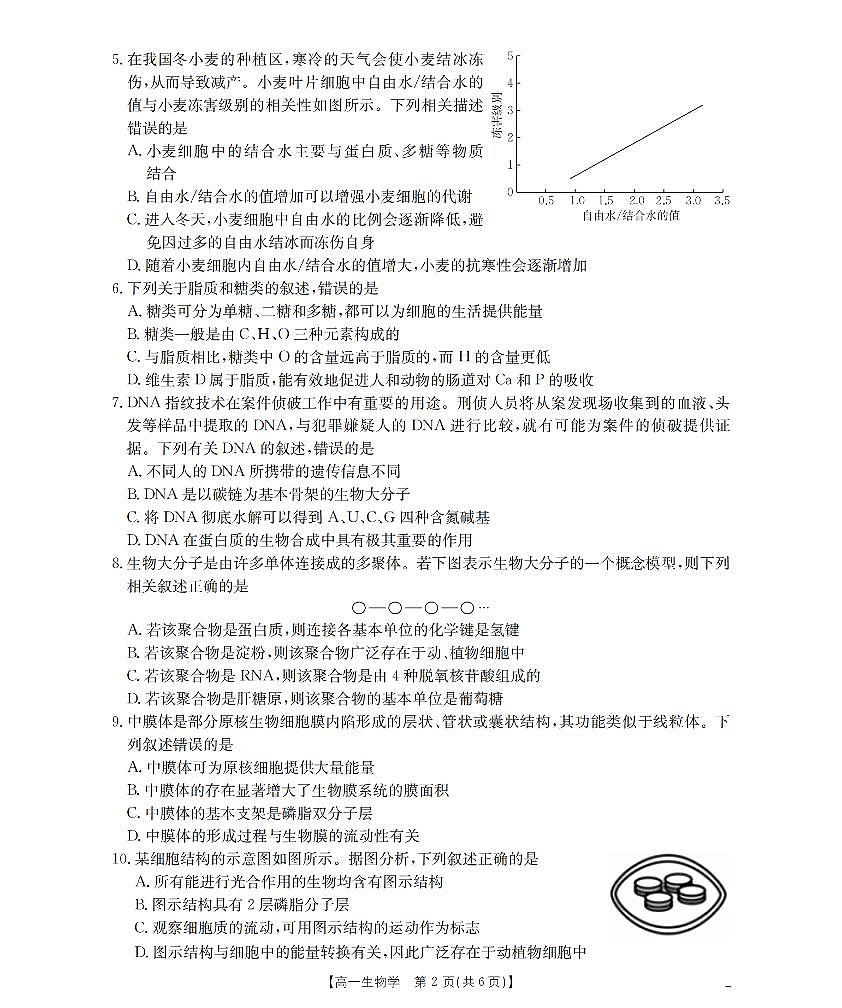 金太阳广东省2025-2026学年高一上学期11月联考生物试卷（含答案）第2页
