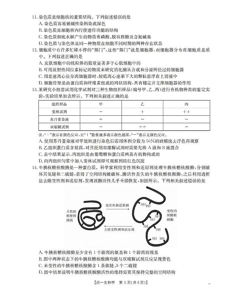 金太阳广东省2025-2026学年高一上学期11月联考生物试卷（含答案）第3页