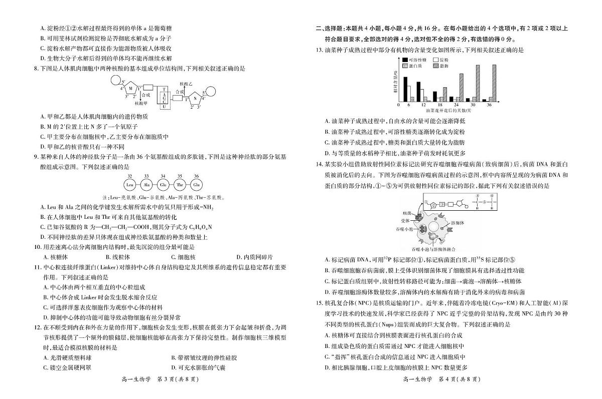 江西省上进联考2025-2026学年高一上学期12月学情检测生物试卷（含答案）第2页