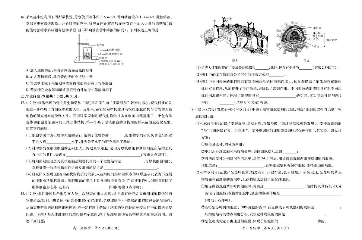 江西省上进联考2025-2026学年高一上学期12月学情检测生物试卷（含答案）第3页