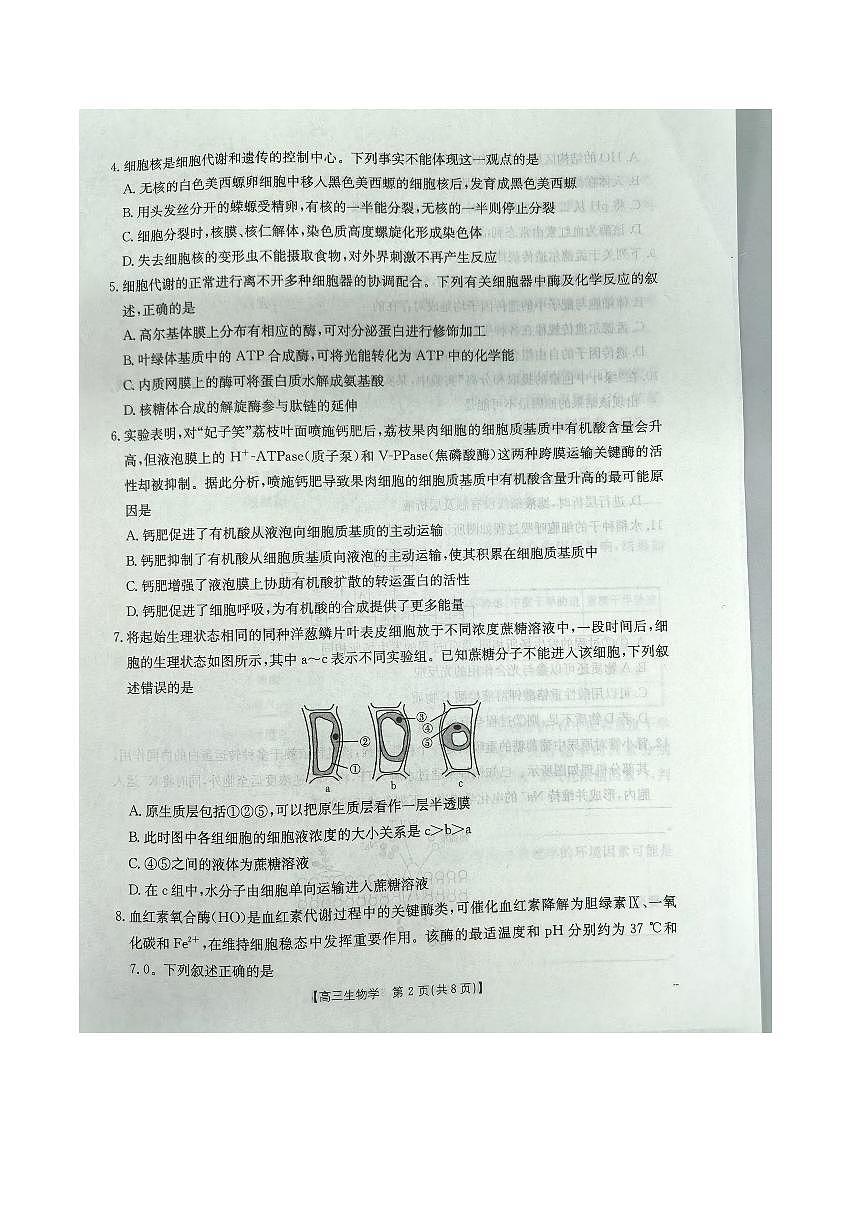 福建省龙岩市非一级达标校2026届高三上学期11月期中考试生物试题（PDF版附答案）第2页