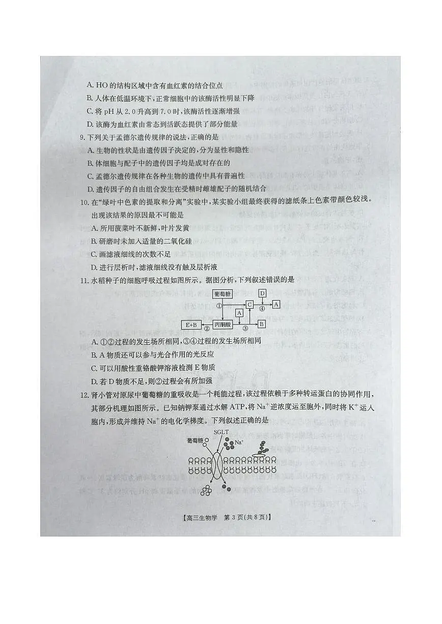 福建省龙岩市非一级达标校2026届高三上学期11月期中考试生物试题（PDF版附答案）第3页