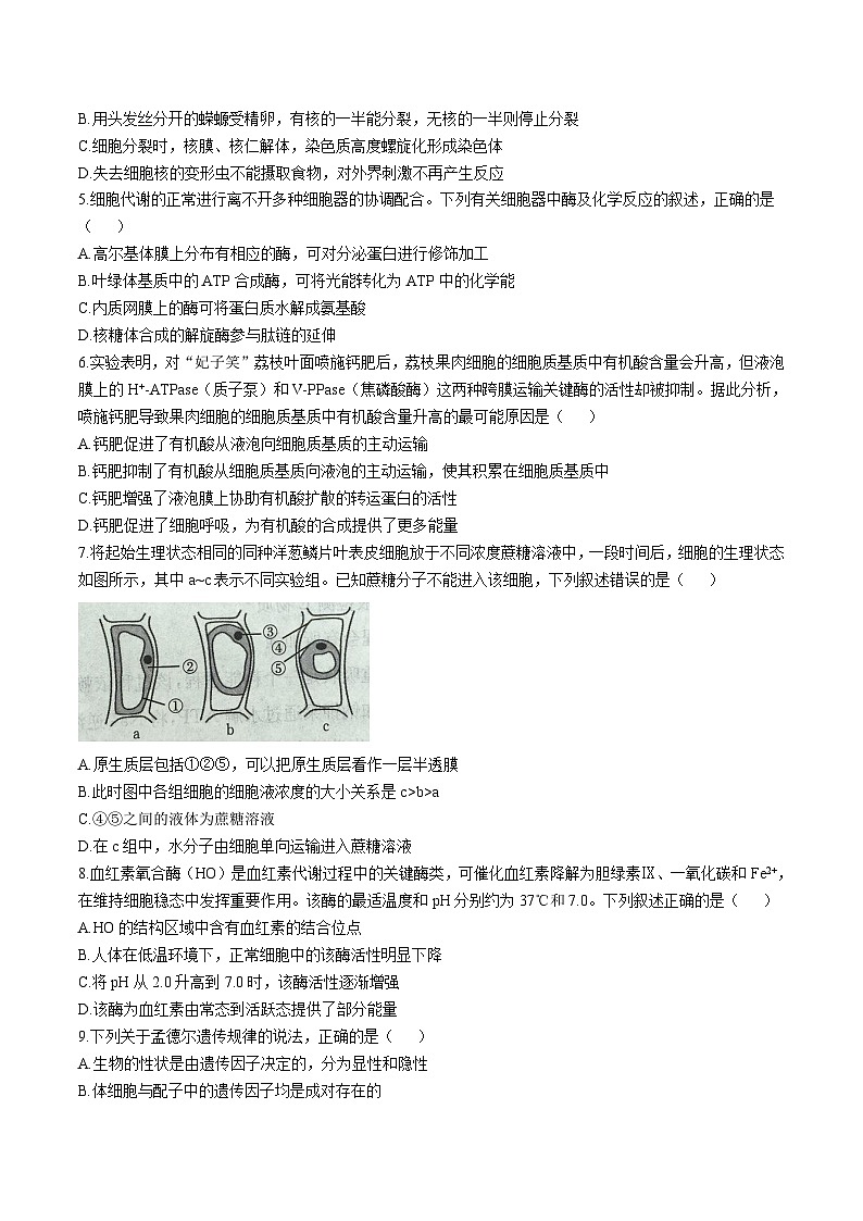 福建省龙岩市非一级达标校2026届高三上学期11月期中考试生物试题（Word版附答案）第2页