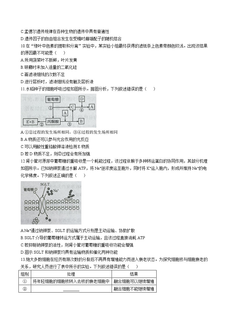 福建省龙岩市非一级达标校2026届高三上学期11月期中考试生物试题（Word版附答案）第3页