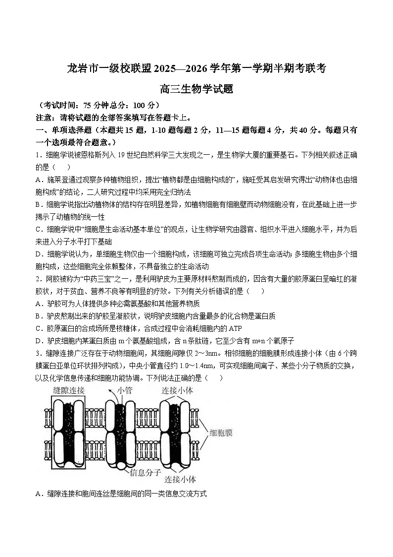 福建省龙岩市九校联考2026届高三上学期11月期中考试生物试题（Word版附答案）第1页