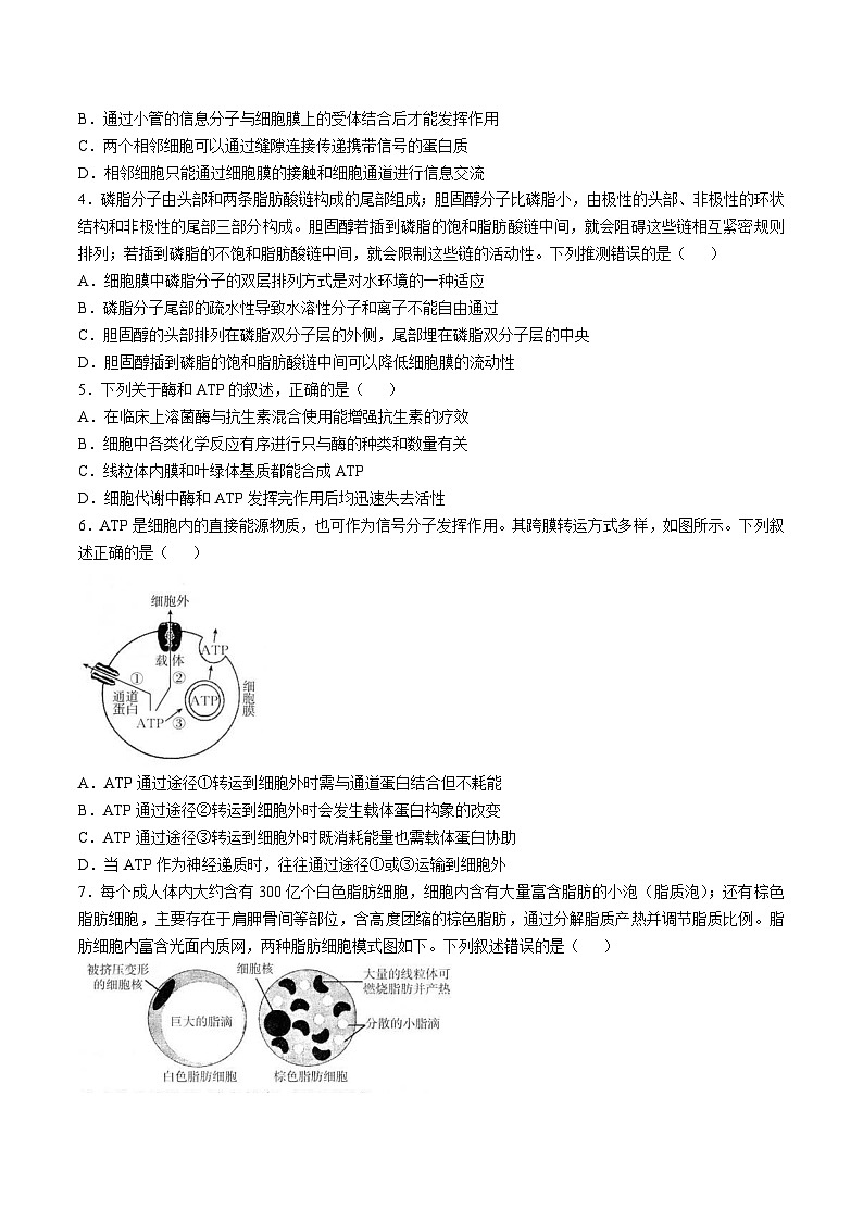 福建省龙岩市九校联考2026届高三上学期11月期中考试生物试题（Word版附答案）第2页