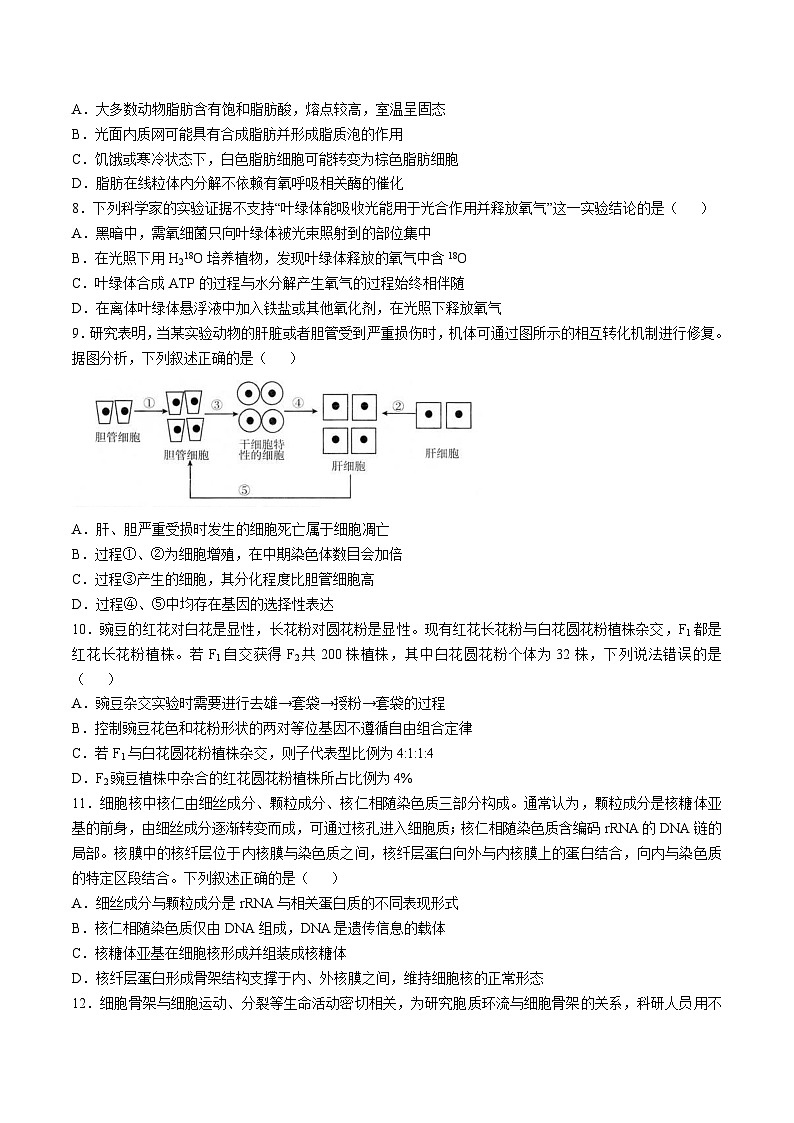 福建省龙岩市九校联考2026届高三上学期11月期中考试生物试题（Word版附答案）第3页