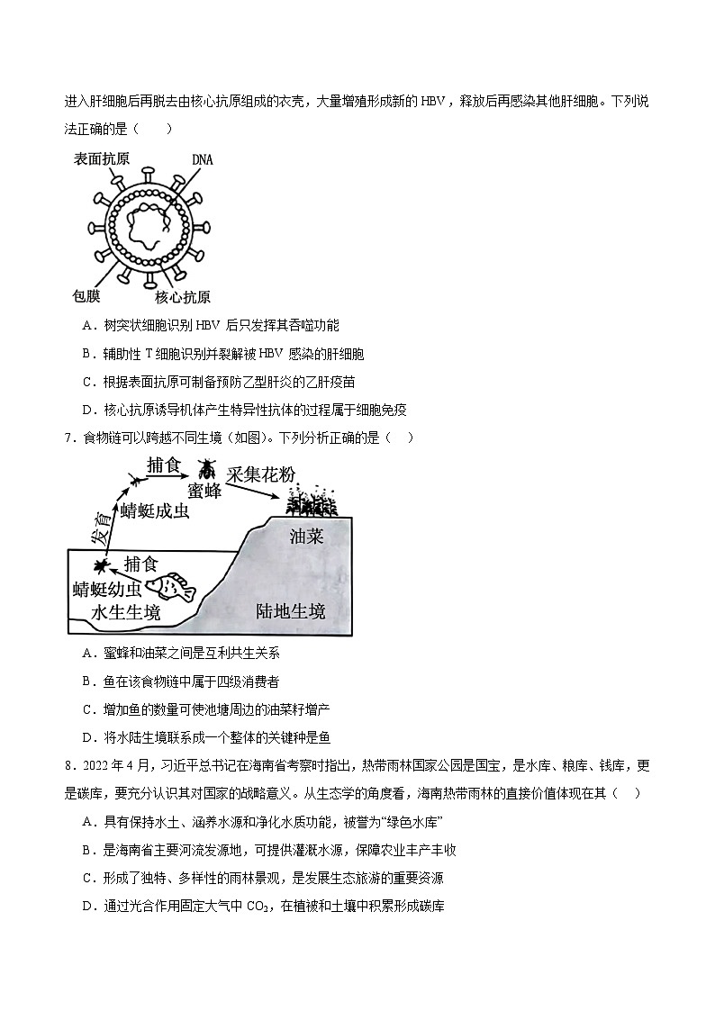 河北省沧州市运东六校2026届高三上学期11月期中考试生物试题（Word版附答案）第2页