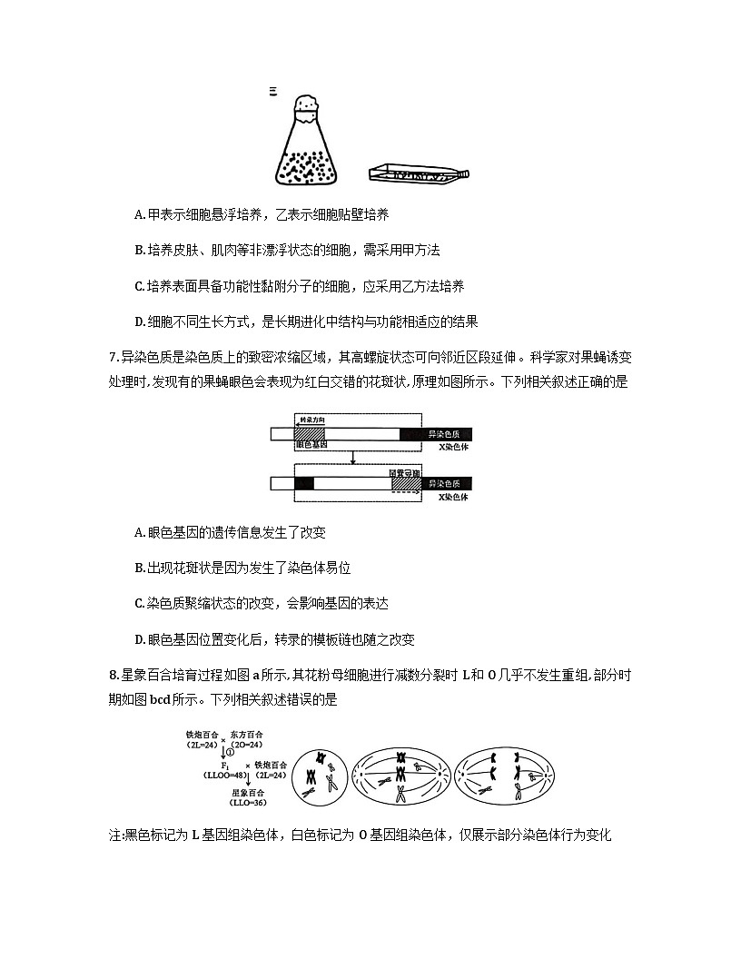 江苏省苏州市2026届高三上学期期中阳光调研生物试题（Word版附答案）第3页