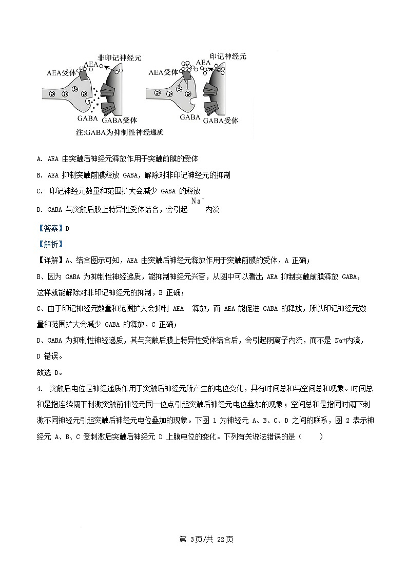 安徽省2025_2026学年高二生物上学期期中测试试题A含解析第3页