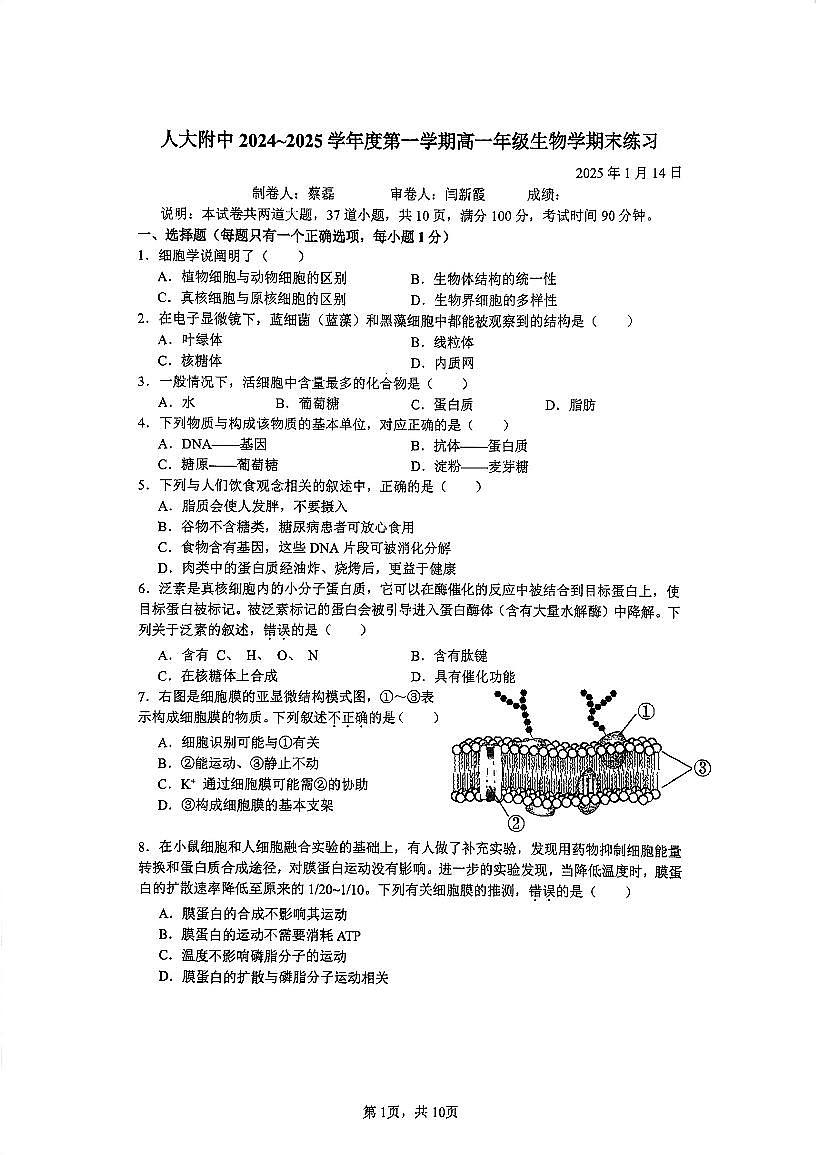 2025北京人大附中高一（上）期末生物试卷 有答案第1页