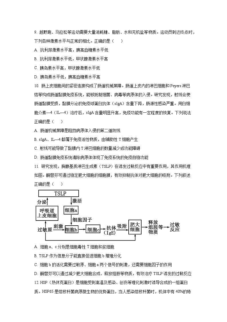 山东省泰安市2025-2026学年高二上学期11月期中生物试卷（学生版）第3页