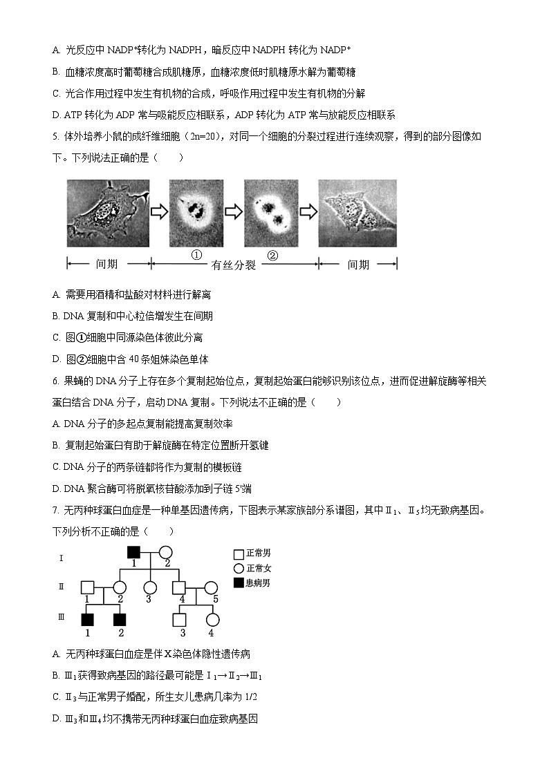 北京市东城区2024—2025学年高三上学期期末统一检测生物试题（原卷版）-A4第2页