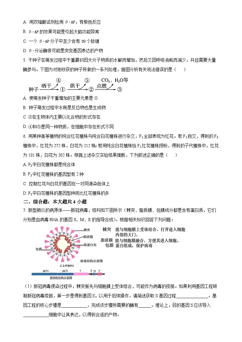 北京市房山区房山中学高三上学期期末考试生物试卷（原卷版）-A4第2页