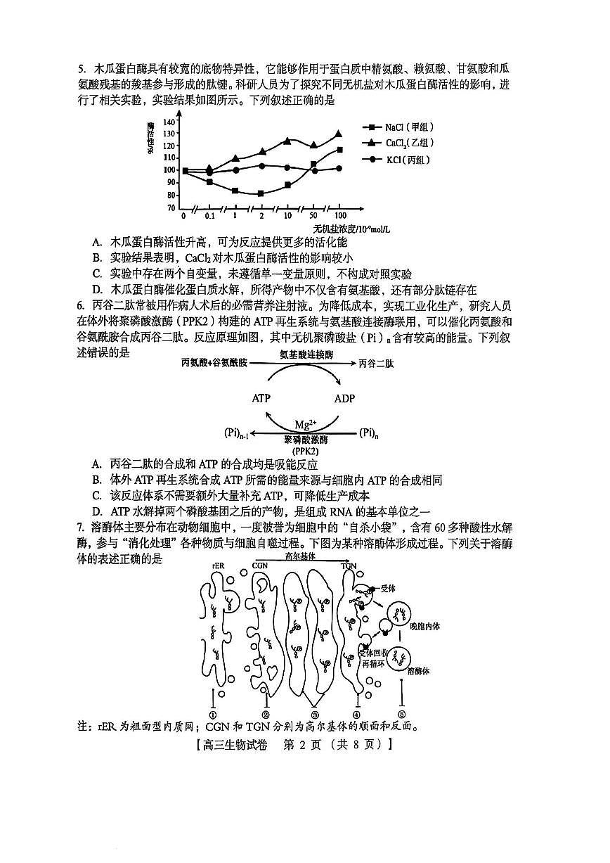 三门峡市2025—2026学年度高三阶段性考试生物第2页