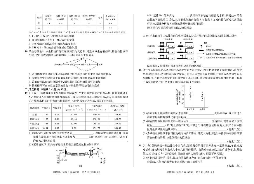 天一大联考陕西甘肃省2025-2026学年（上）高三年级顶尖计划（二）生物学专版B卷（含答案）第3页
