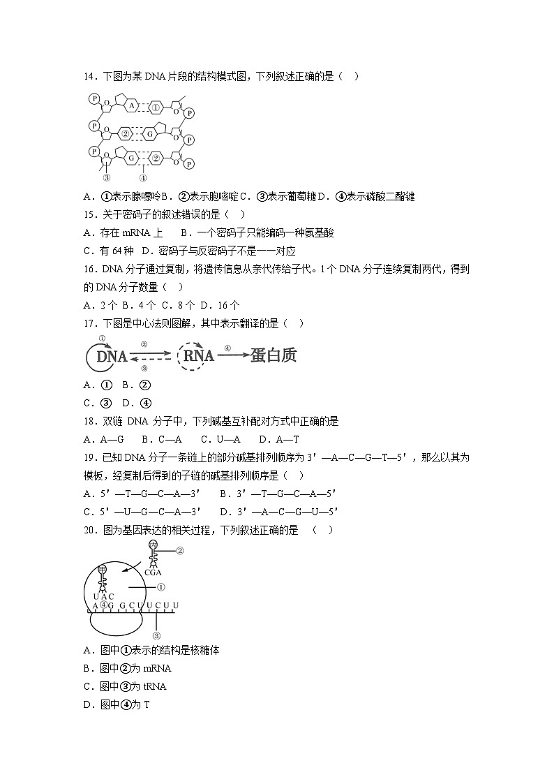 高一生物必修试题第3页
