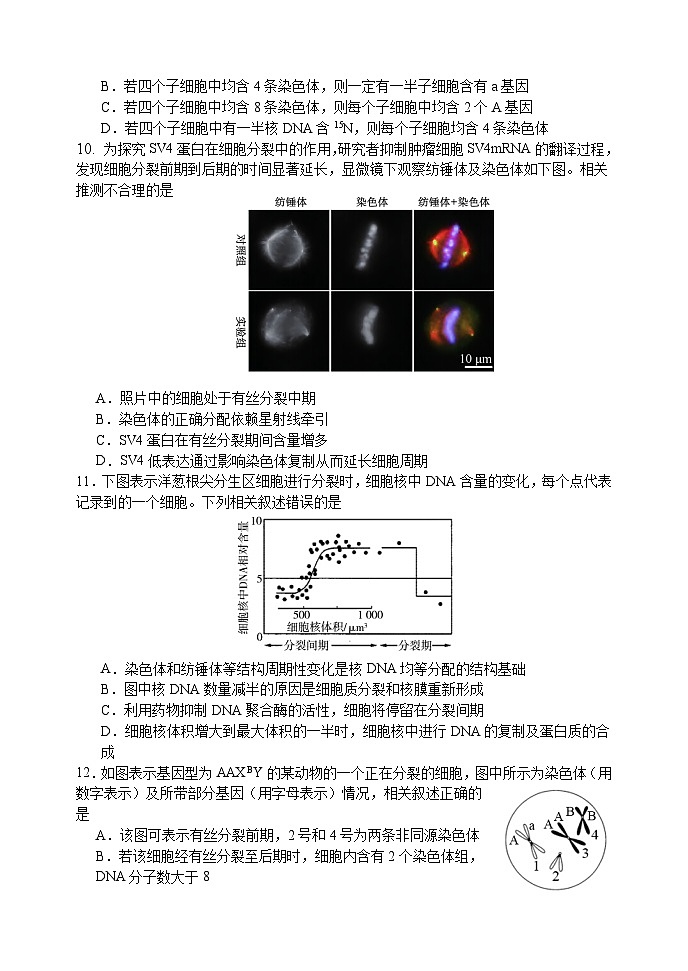 江苏省扬州市广陵区江苏省扬州中学2024-2025学年高三上学期开学生物试题第3页