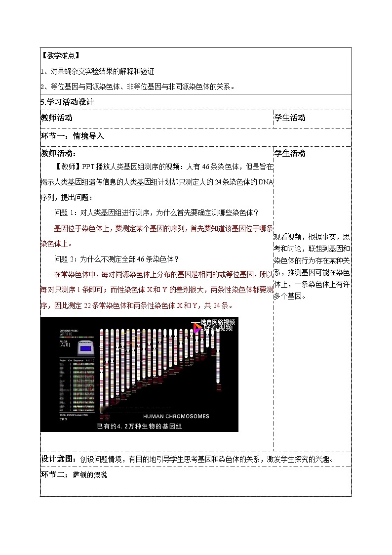 【同步授课教案】人教版高中生物必修二 遗传与进化第二章2.2 基因在染色体上（表格版）第2页