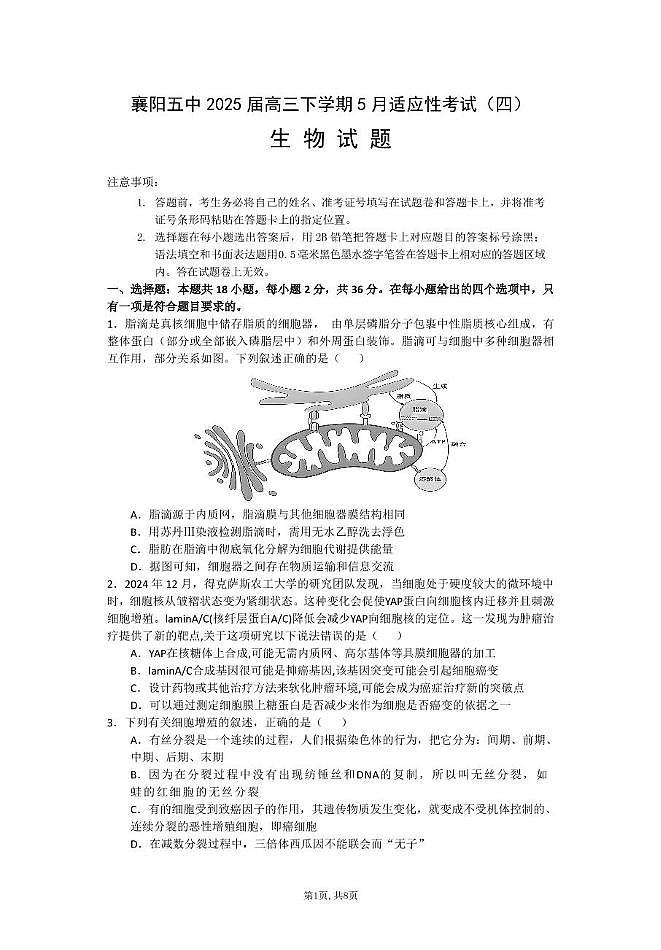 湖北省襄阳市第五中学2025届高三下学期适应性考试（四）生物试卷（PDF图片版）（含答案）第1页