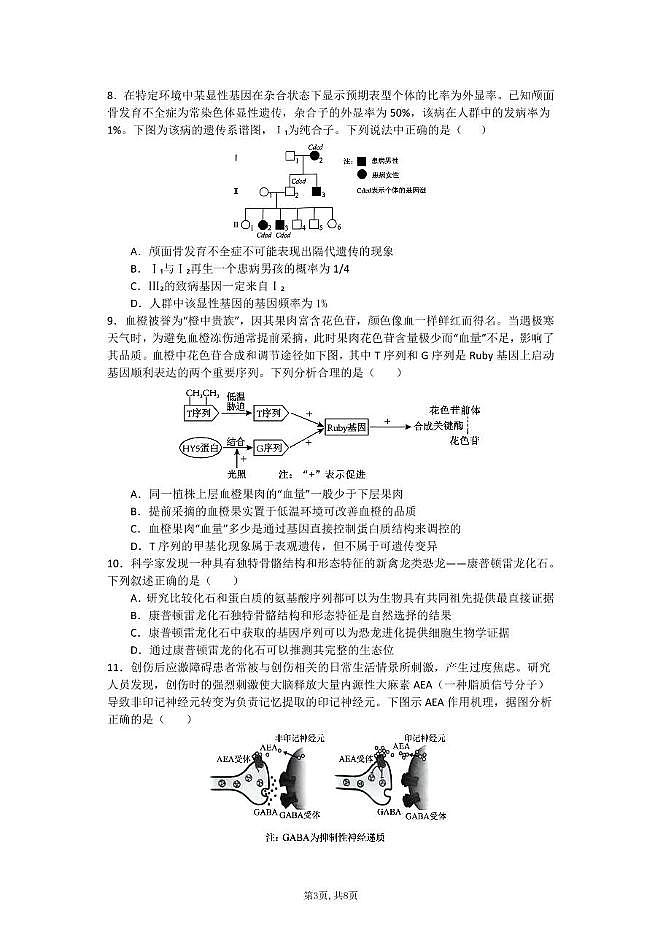 湖北省襄阳市第五中学2025届高三下学期适应性考试（四）生物试卷（PDF图片版）（含答案）第3页