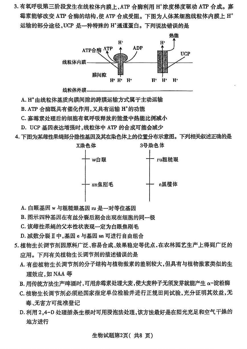 山西省临汾市2025届高三下学期考前适应性训练考试（三）生物试卷（PDF图片版）(含答案）第2页