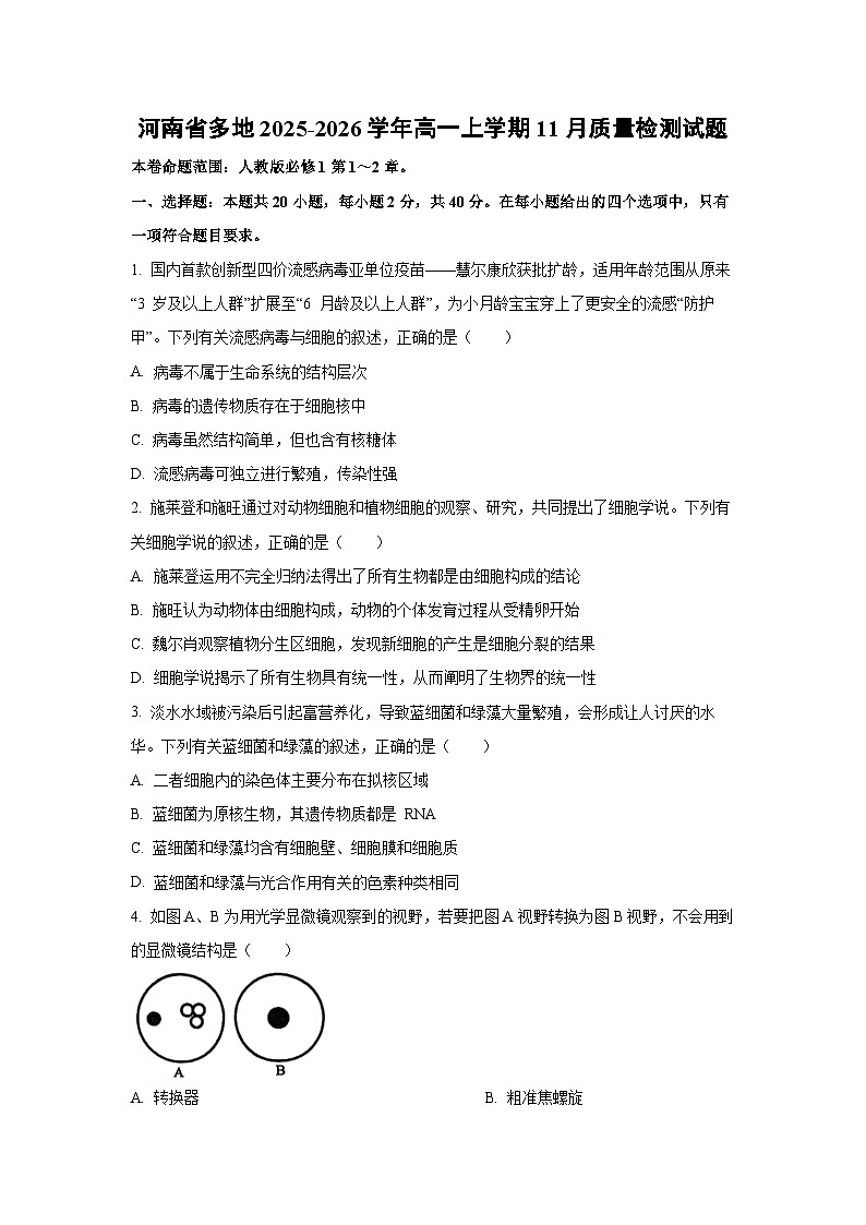 河南省多地2025-2026学年高一上学期11月质量检测生物试卷（学生版）第1页