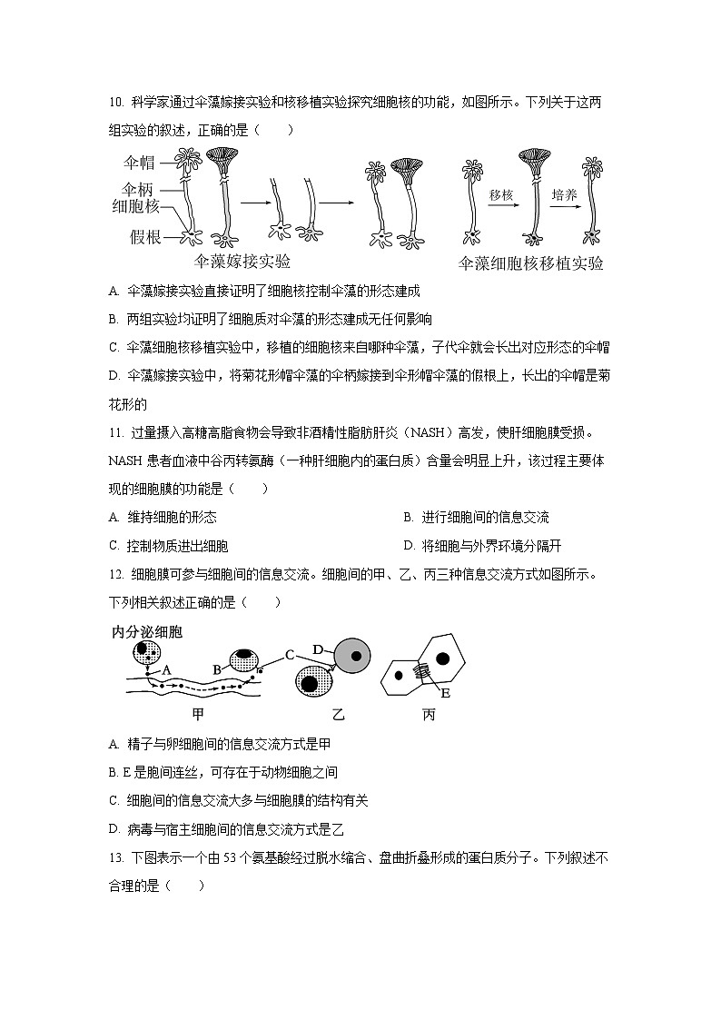 广西壮族自治区贵港市部分学校2025-2026学年高一上学期11月期中生物试卷（学生版）第3页