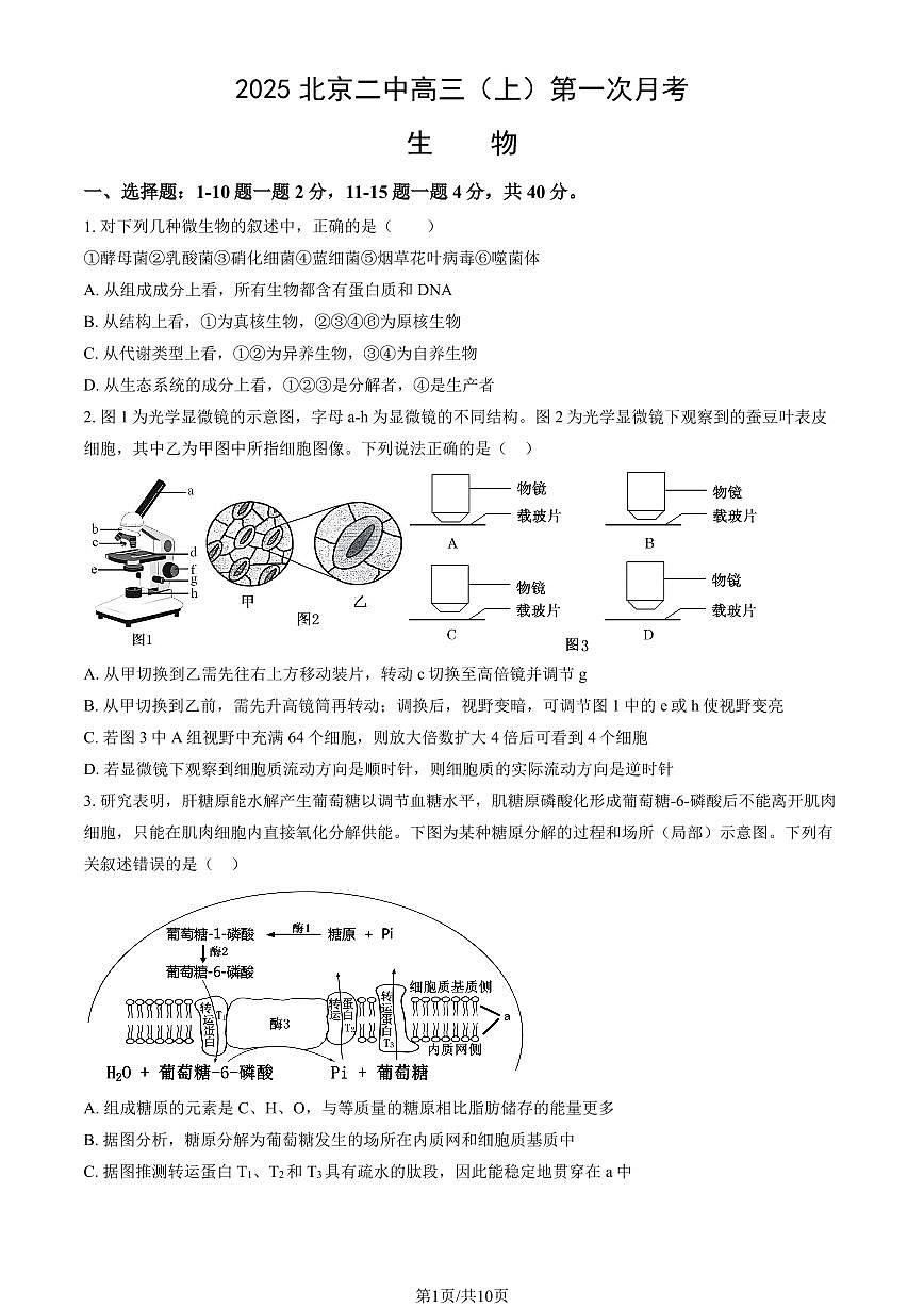 2025年北京二中高三（上）第一次月考生物试卷（教师版）第1页