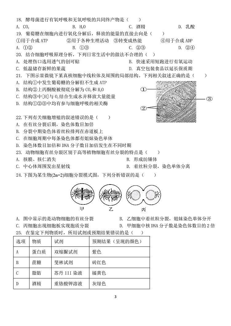 2025年北京九中高一上12月月考生物试卷第3页