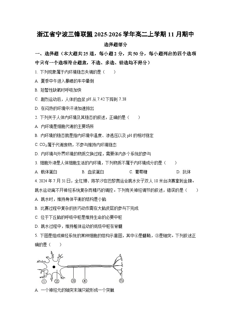 浙江省宁波三锋联盟2025-2026学年高二上学期11月期中生物试卷（学生版）第1页