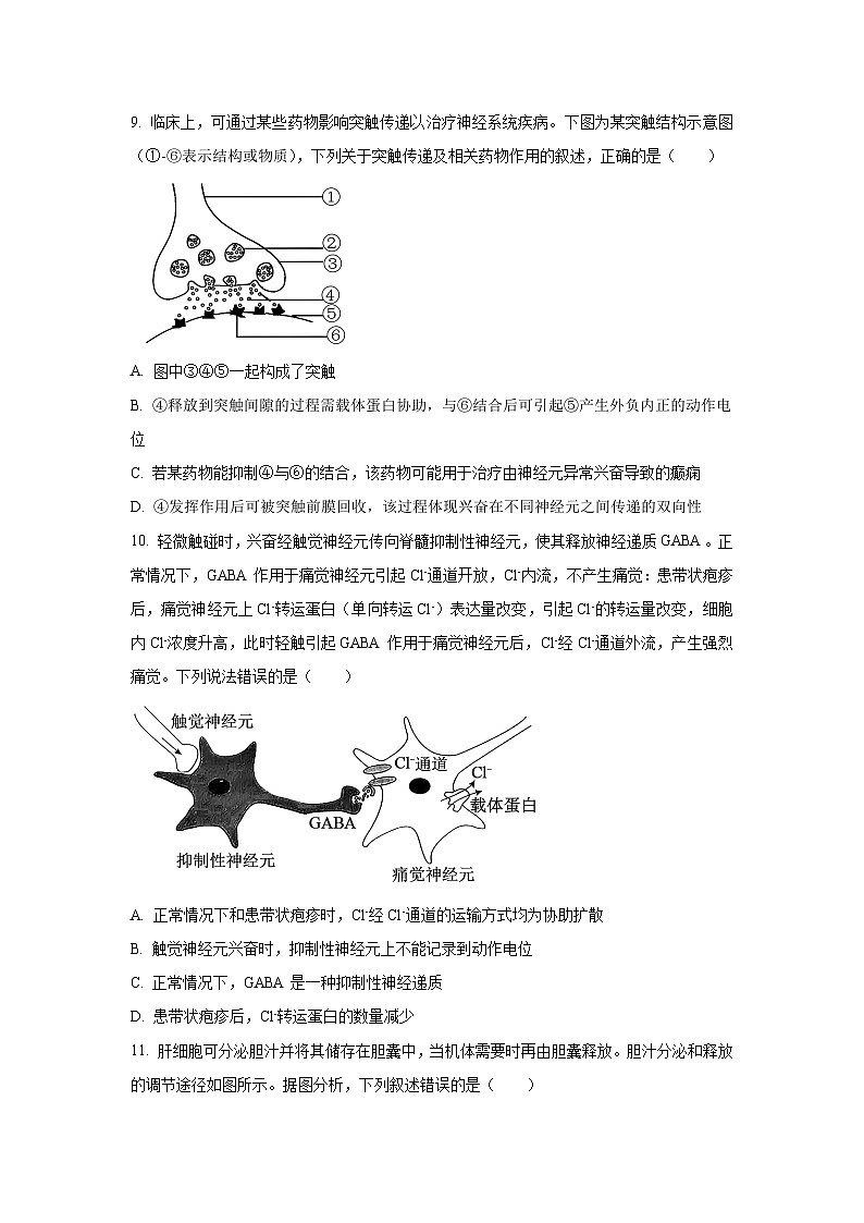 浙江省宁波三锋联盟2025-2026学年高二上学期11月期中生物试卷（学生版）第3页