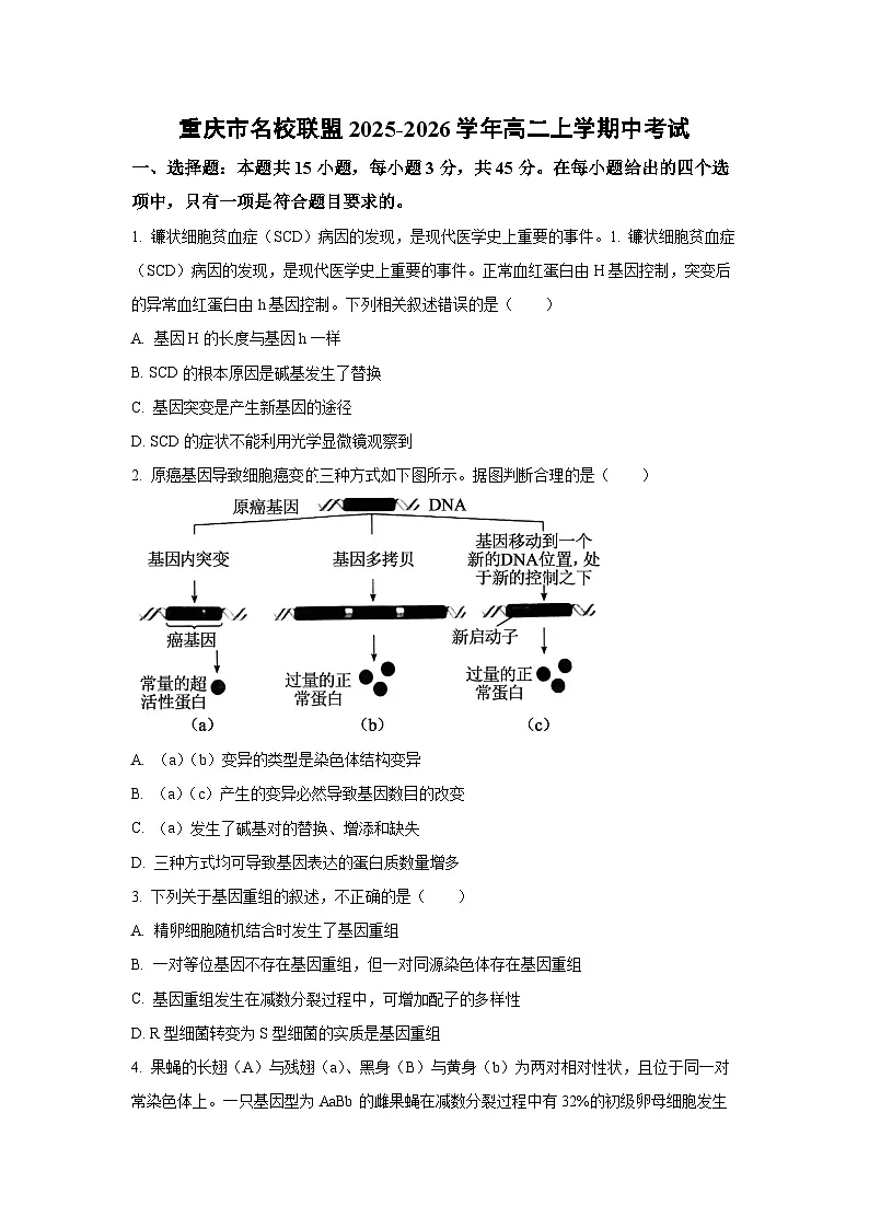 重庆市名校联盟2025-2026学年高二上学期中考试生物试卷（学生版）第1页